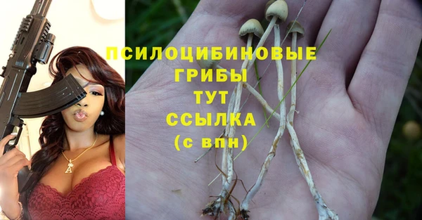 МДМА Алексеевка