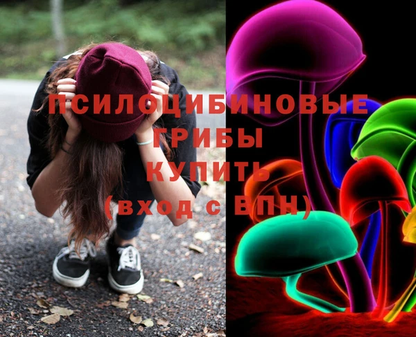 мдпв Алзамай